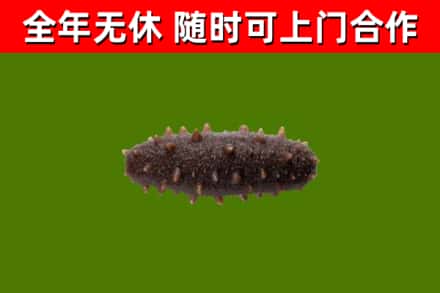 石棉回收海参干